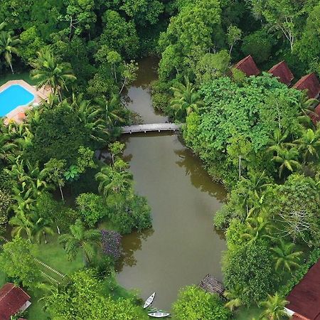 Pousada Salve Floresta ตาปิไร ภายนอก รูปภาพ