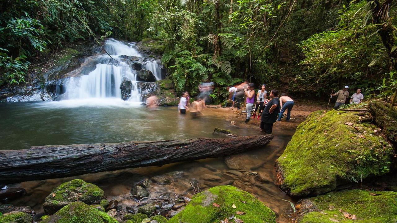 Pousada Salve Floresta ตาปิไร ภายนอก รูปภาพ