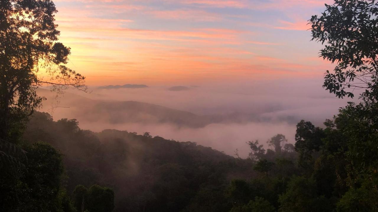 Pousada Salve Floresta ตาปิไร ภายนอก รูปภาพ