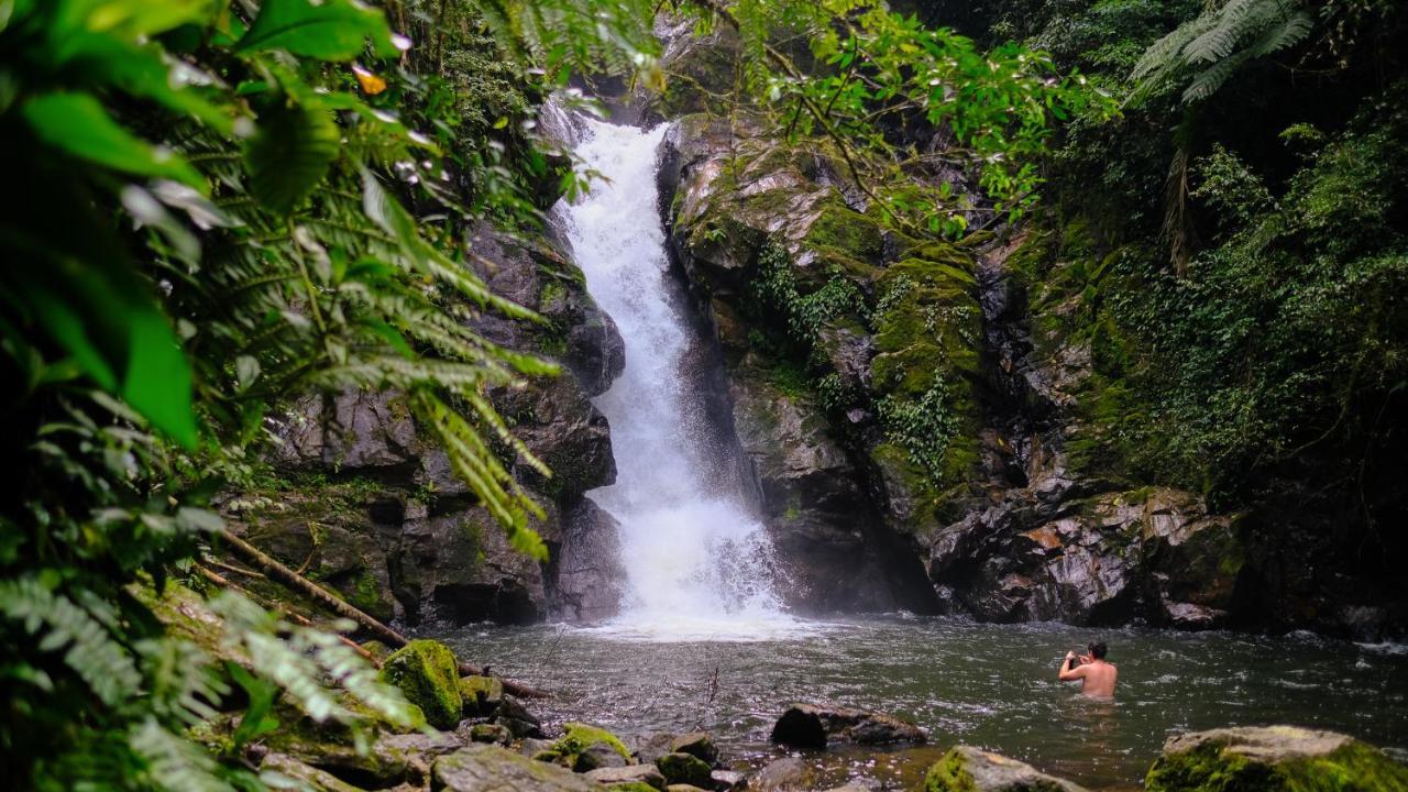Pousada Salve Floresta ตาปิไร ภายนอก รูปภาพ