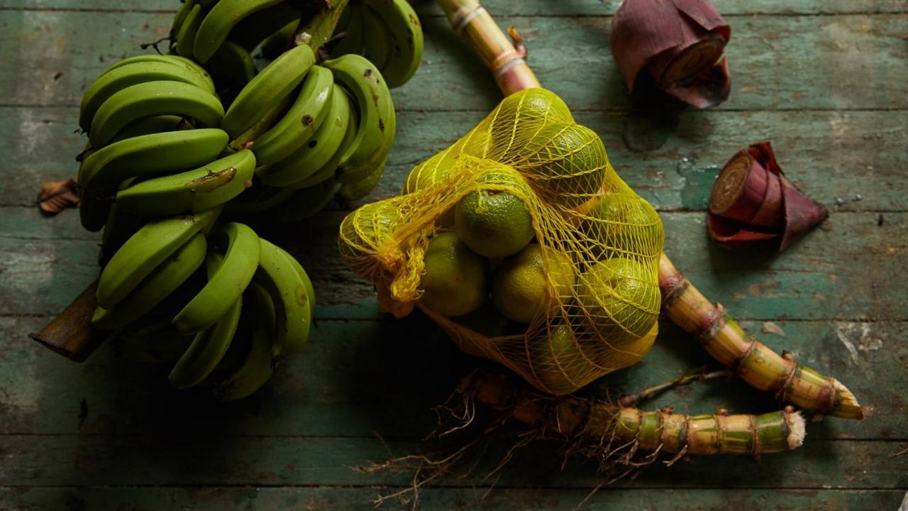 Pousada Salve Floresta ตาปิไร ภายนอก รูปภาพ
