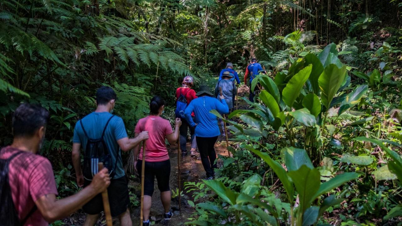 Pousada Salve Floresta ตาปิไร ภายนอก รูปภาพ